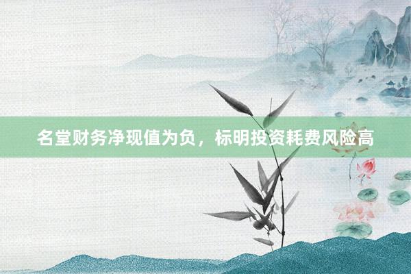 名堂财务净现值为负，标明投资耗费风险高